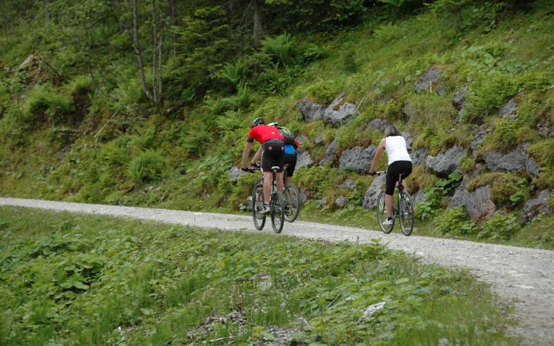 Vertragliche MTB-Lösungen für ein respektvolles Miteinander im Wald – Pressemitteilung