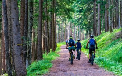 ÖSTERREICH BEKOMMT MOUNTAINBIKE-KOORDINATIONSSTELLE