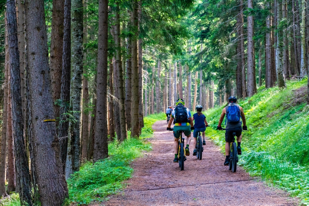 ÖSTERREICH BEKOMMT MOUNTAINBIKE-KOORDINATIONSSTELLE