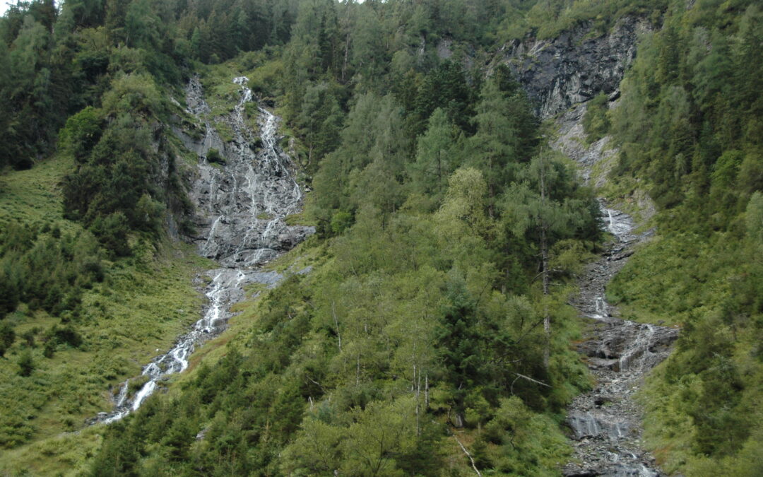 Schutzwald ist unverzichtbare Lebensversicherung für Österreich