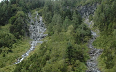 Schutzwald ist unverzichtbare Lebensversicherung für Österreich