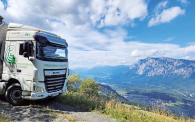 Aktuelle Holzstrom-Analyse: Energieholz als wichtigster heimischer erneuerbarer Rohstoff