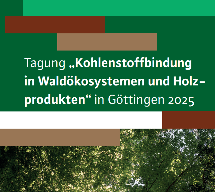 Wälder als Klimaretter: Nur resiliente Forstwirtschaft hilft