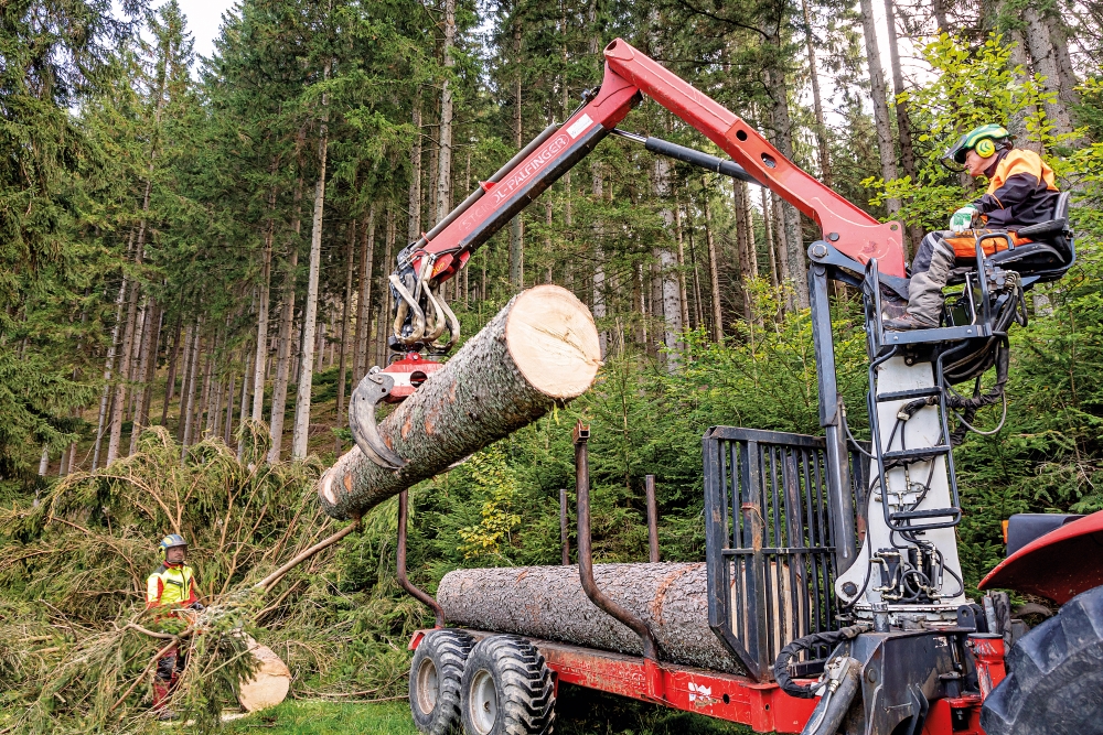 Geringe Nachfrage nach Nadelsägerundholz