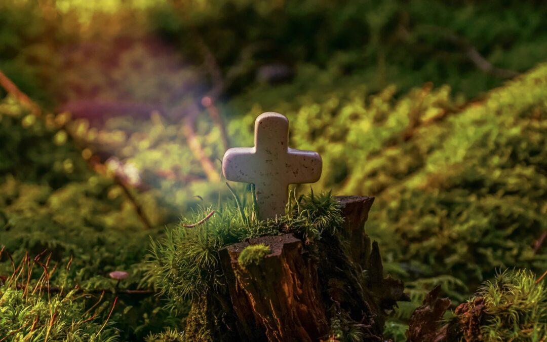 Nachruf auf OFM DI Ernst Tschida