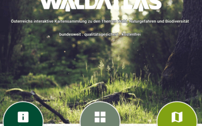 Totschnig: WALDATLAS eröffnet neuen Zugang zu Österreichs Wäldern