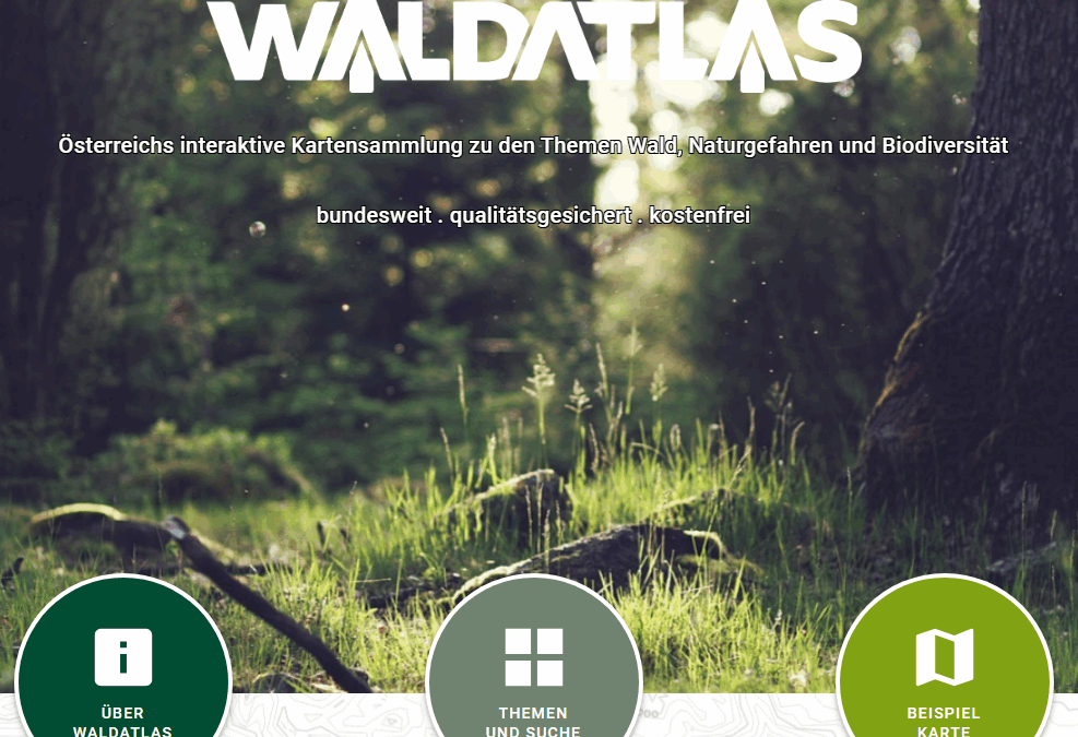 Totschnig: WALDATLAS eröffnet neuen Zugang zu Österreichs Wäldern
