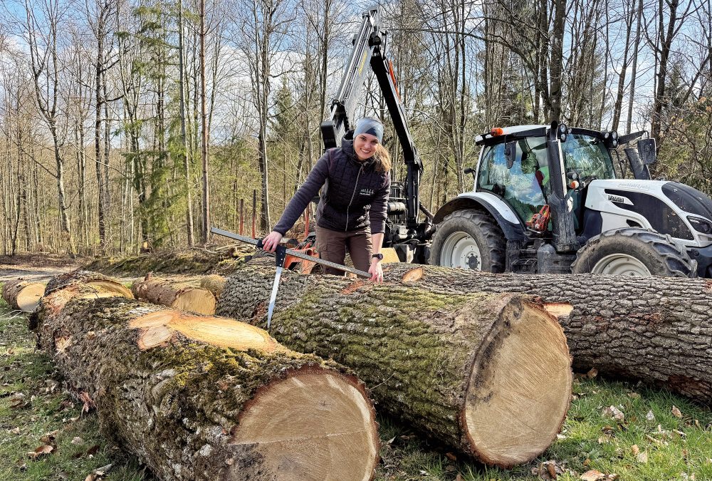 Vielfalt im Wald und darüber hinaus