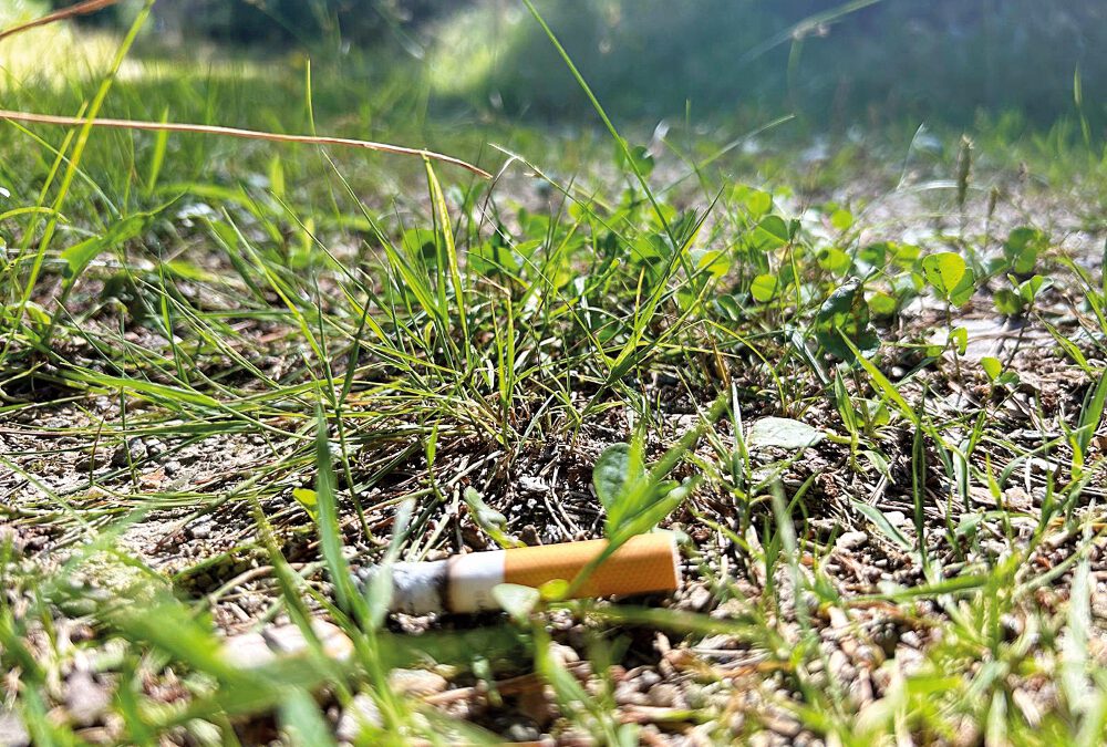 Totschnig: Trockenheit birgt Waldbrandgefahr – äußerste Vorsicht im Wald geboten!