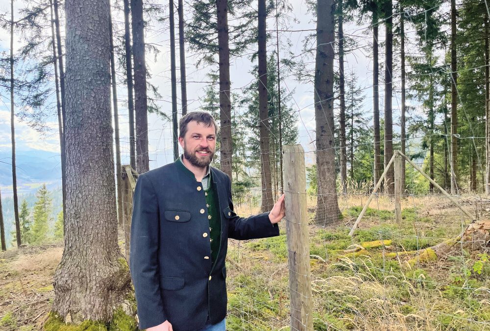 Klimafitter Wald: Anders gedacht