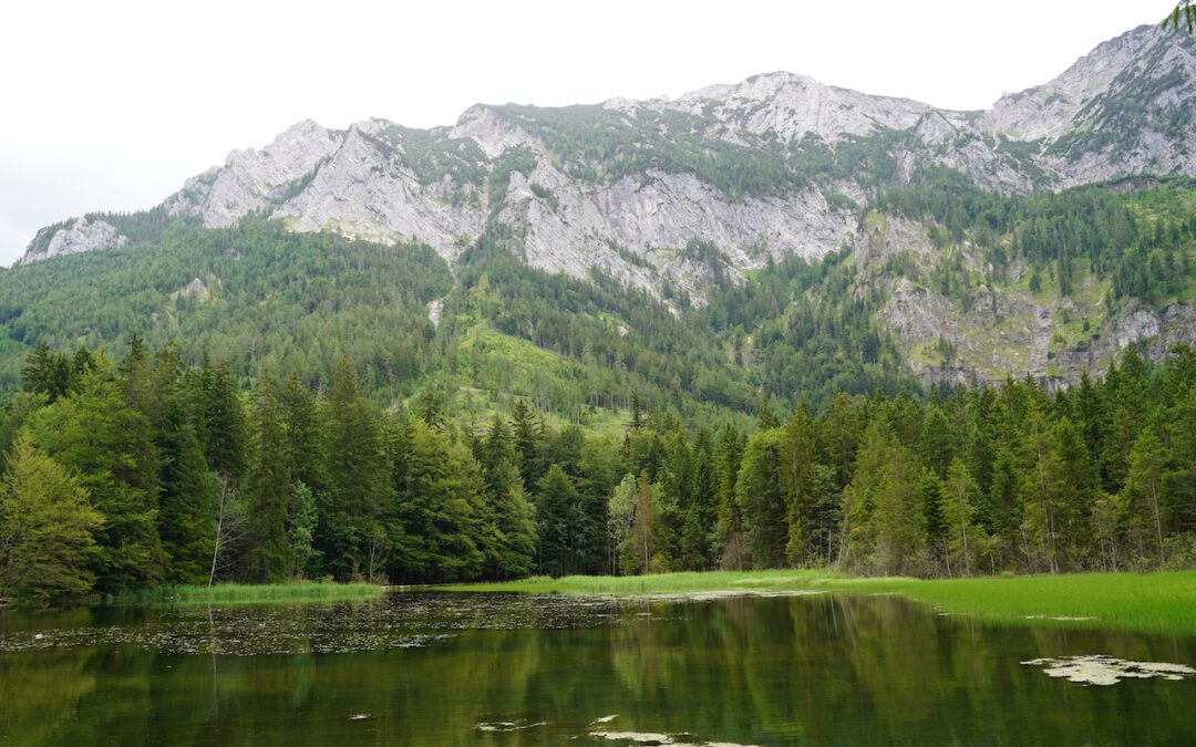 Totschnig: Forschungsprojekt zur Rolle der Wälder für den Wasserhaushalt startet
