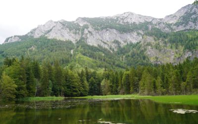 Totschnig: Forschungsprojekt zur Rolle der Wälder für den Wasserhaushalt startet