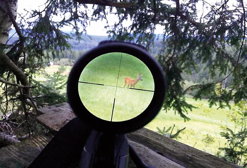 Die Jagd im Wandel der Zeit