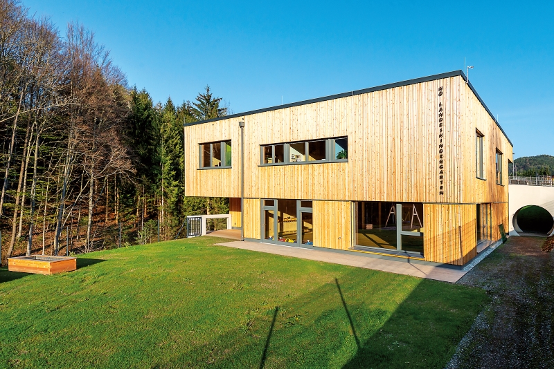 Mit Holz gegen den Klimawandel