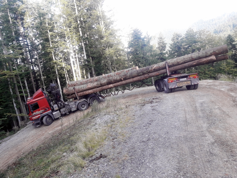 Holztransport – ein Geschäft für starke Nerven