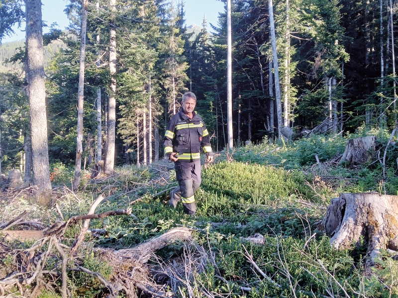 Wenn der Wald zur Feuerfalle wird