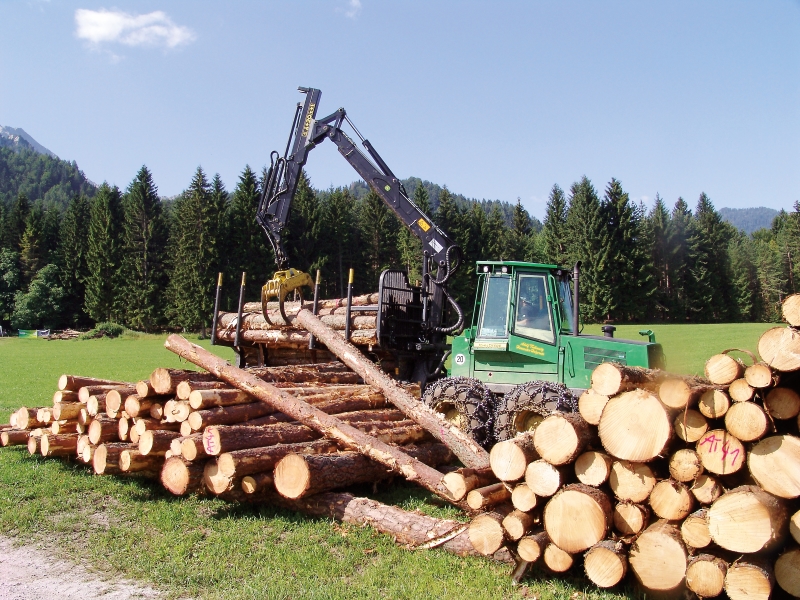 Rundum sicher – unsere Holzlagerplätze