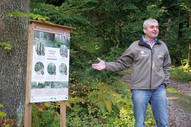 Die Vielfalt im Wald ist meine Lebensversicherung