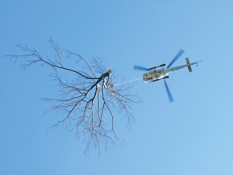 Hubschrauberbringung im Bergwald