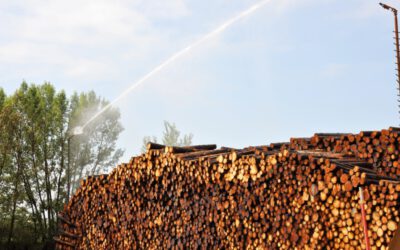 NÖ Waldverband eröffnet Nasslager