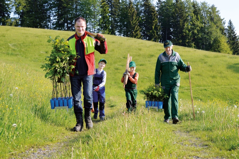 Wo bleibt der rote Teppich?