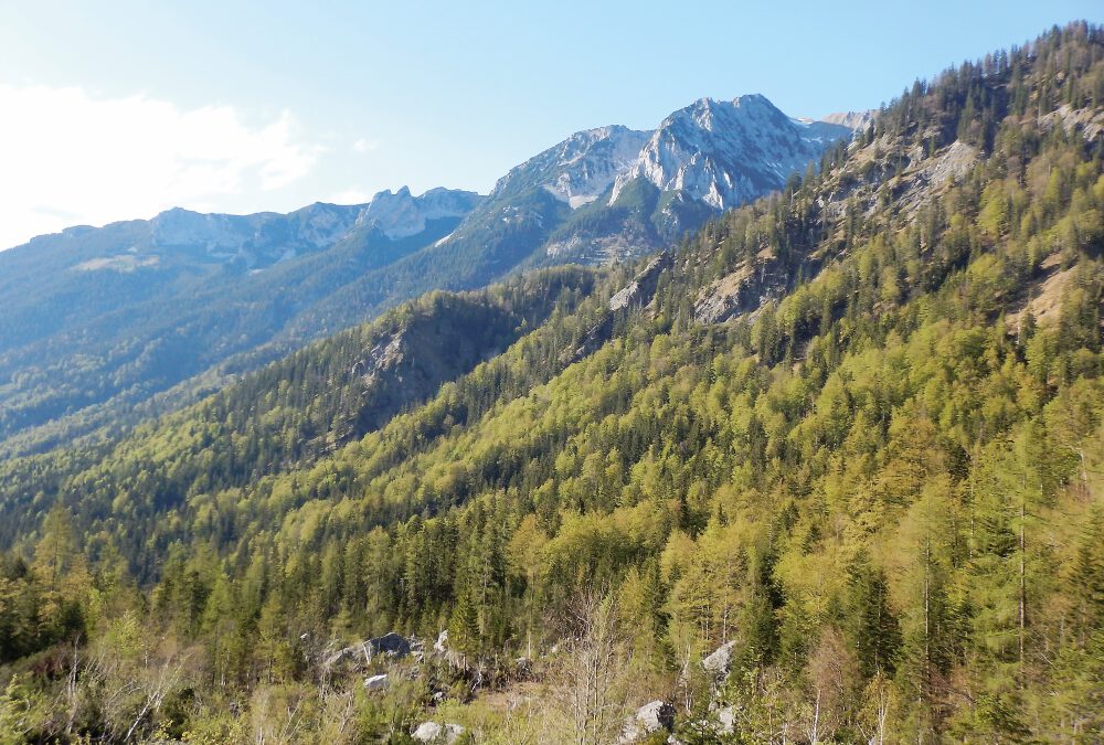 Kaisertal, ein Jagd- oder Touristenparadies?
