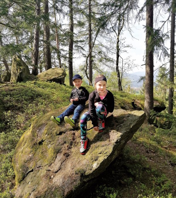 Den Lebensraum Wald lebenswert erhalten