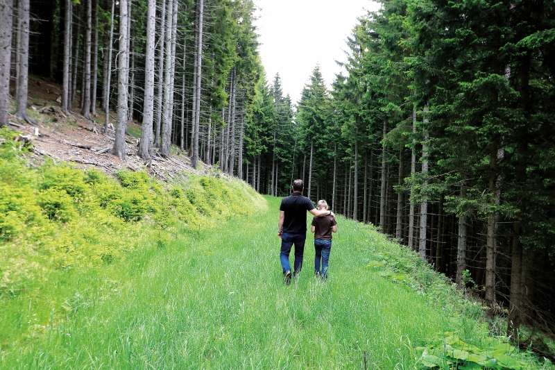 Klimafitter Wald – über Generationen gesichert