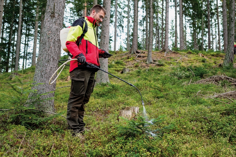 Pflanzenschutzmittel: Anwendung im Wald