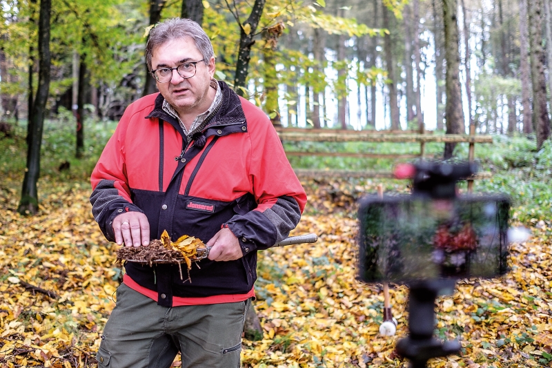 Der Waldboden, die große Unbekannte