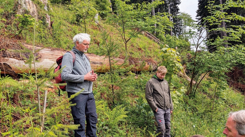 Resiliente Schutzwälder