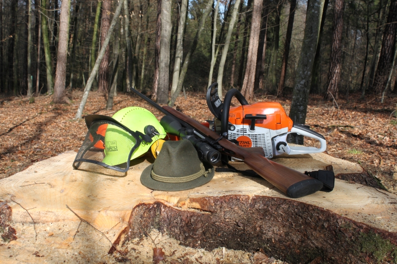 Wald ohne Wildschaden – Ein Verein mit Vision