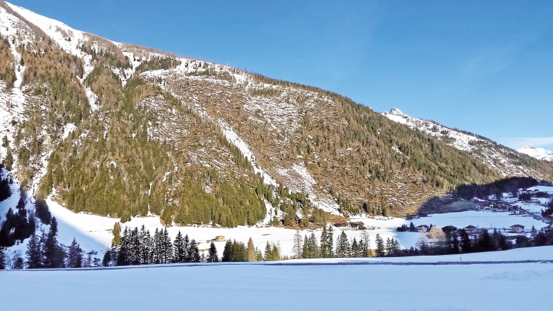 Schutzwald – klimafit und unerlässlich